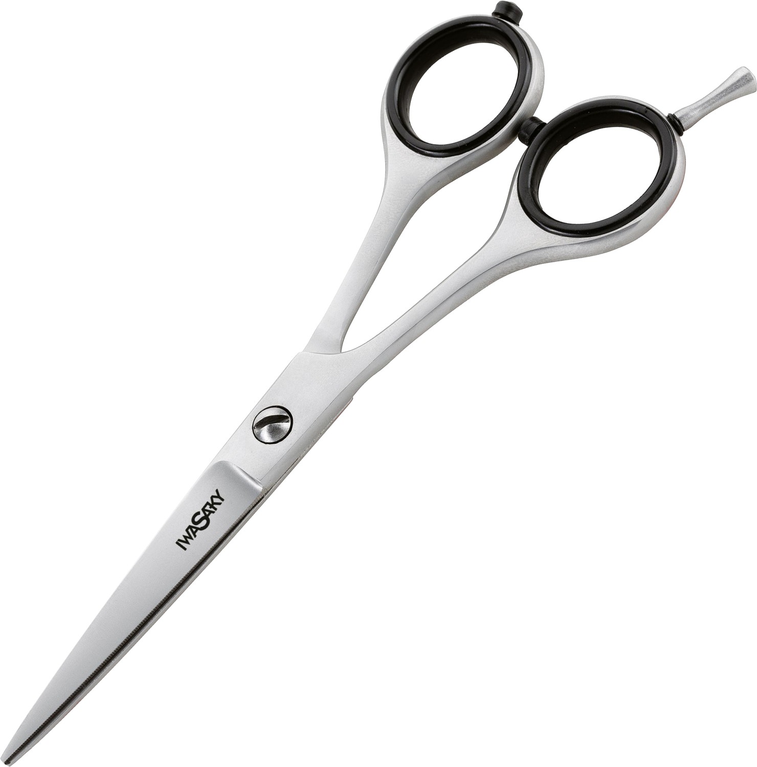  XanitaliaPro IWASAKI STEEL Hairdressing scissor 5.5&rdquo; Left hand 