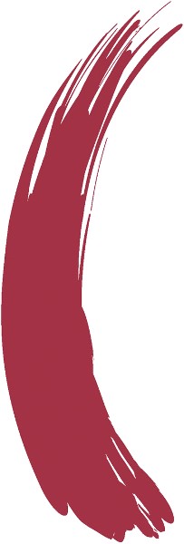  Play Up Hair Mascara dark red 