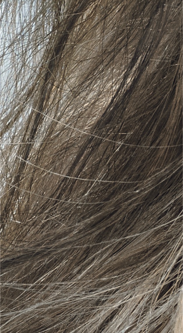 Goldwell Topchic Depot 8CA Cool Ash 250 ml 